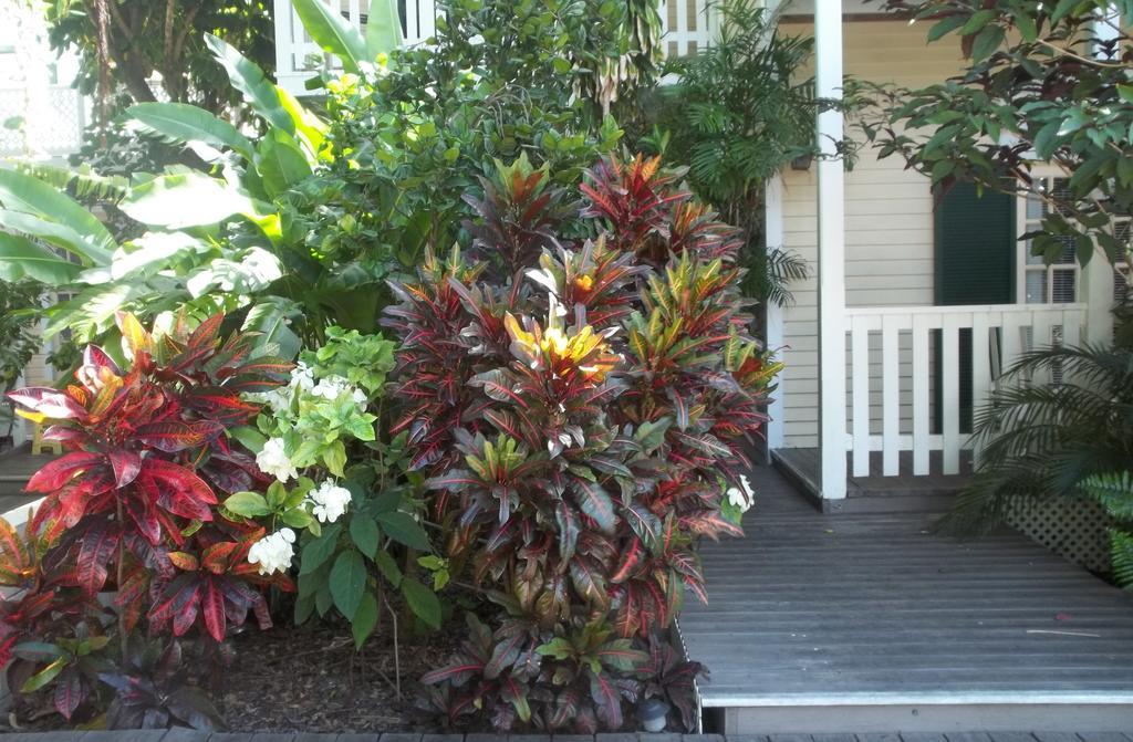 Duval House Bed & Breakfast Key West Ngoại thất bức ảnh